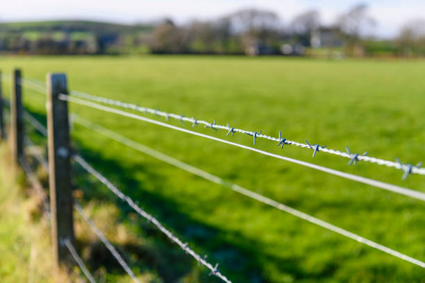 Barbed Wire Fencing Services